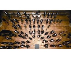 Vacante temporal de trompeta de la Nürnberger Symphoniker