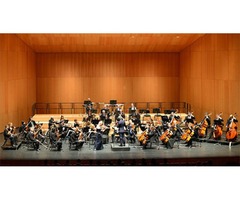 Convocatoria audiciones Violín tutti Orquesta Sinfónica de Navarra