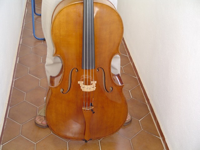 Vendo violoncello alemán 1951.Envío fotos por mail.