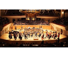 Gran Concierto de Fin de Año con la Orquesta Juvenil Neotonarte