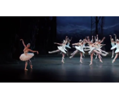 El Ballet Nacional de Cuba presenta El Lago de los cisnes, Carmen y El Quijote