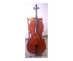 Violoncello 4/4 (1960) Gama Media Alta