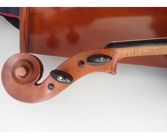 Violoncello 4/4 (1960) Gama Media Alta