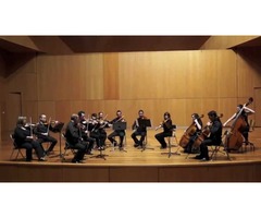 La Orquesta Camerata de Gran Canaria estrena su primera temporada