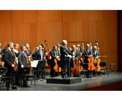 Convocatoria de músicos para el Programa de Educación Musical Infantil de la Orquesta Sinfónica de N