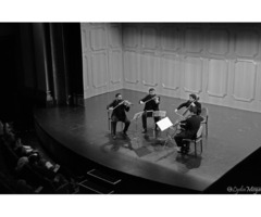 Cuarteto Bécquer en la Facultad de Medicina (UCM) dentro del Ciclo Orquesta Iuventas-Arcos