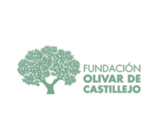 Convocatoria para matinées musicales - Fundación Olivar de Castillejo