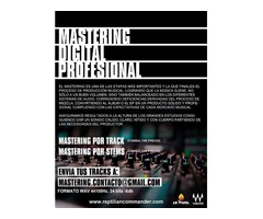 Mastering Digital Online 